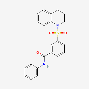 molecular formula C22H20N2O3S B6031857 3-(3,4-dihydro-1(2H)-quinolinylsulfonyl)-N-phenylbenzamide 