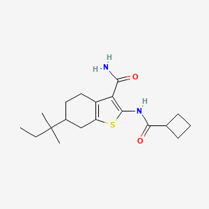 2-[(cyclobutylcarbonyl)amino]-6-(1,1-dimethylpropyl)-4,5,6,7-tetrahydro-1-benzothiophene-3-carboxamide