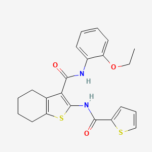 N-(2-ethoxyphenyl)-2-[(2-thienylcarbonyl)amino]-4,5,6,7-tetrahydro-1-benzothiophene-3-carboxamide