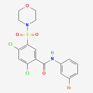 molecular formula C17H15BrCl2N2O4S B6032853 N-(3-bromophenyl)-2,4-dichloro-5-(4-morpholinylsulfonyl)benzamide CAS No. 5346-88-3