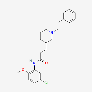 molecular formula C23H29ClN2O2 B6033286 N-(5-chloro-2-methoxyphenyl)-3-[1-(2-phenylethyl)-3-piperidinyl]propanamide 