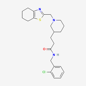 molecular formula C23H30ClN3OS B6034267 N-(2-chlorobenzyl)-3-[1-(4,5,6,7-tetrahydro-1,3-benzothiazol-2-ylmethyl)-3-piperidinyl]propanamide 