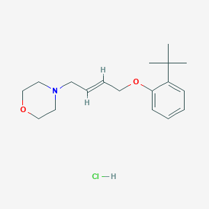 4-[(E)-4-(2-tert-butylphenoxy)but-2-enyl]morpholine;hydrochloride