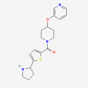 molecular formula C19H23N3O2S B6036234 (4-Pyridin-3-yloxypiperidin-1-yl)-(5-pyrrolidin-2-ylthiophen-2-yl)methanone 