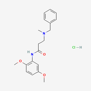 molecular formula C19H25ClN2O3 B6037292 N~3~-benzyl-N~1~-(2,5-dimethoxyphenyl)-N~3~-methyl-beta-alaninamide hydrochloride 