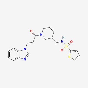 molecular formula C20H24N4O3S2 B6037660 N-({1-[3-(1H-benzimidazol-1-yl)propanoyl]-3-piperidinyl}methyl)-2-thiophenesulfonamide 