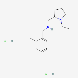 molecular formula C15H26Cl2N2 B6037696 [(1-ethyl-2-pyrrolidinyl)methyl](2-methylbenzyl)amine dihydrochloride 