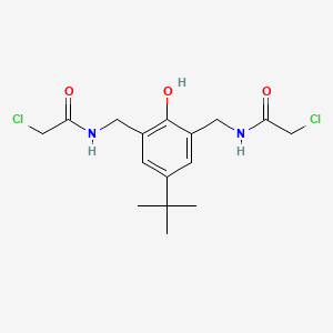 molecular formula C16H22Cl2N2O3 B6040481 N,N'-[(5-tert-butyl-2-hydroxy-1,3-phenylene)bis(methylene)]bis(2-chloroacetamide) 