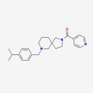 2-isonicotinoyl-7-(4-isopropylbenzyl)-2,7-diazaspiro[4.5]decane