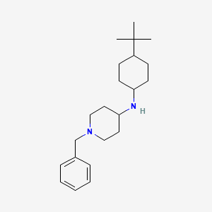 1-benzyl-N-(4-tert-butylcyclohexyl)-4-piperidinamine