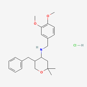 molecular formula C23H32ClNO3 B6042961 (5-benzyl-2,2-dimethyltetrahydro-2H-pyran-4-yl)(3,4-dimethoxybenzyl)amine hydrochloride 