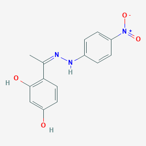 molecular formula C14H13N3O4 B6044172 1-(2,4-dihydroxyphenyl)ethanone (4-nitrophenyl)hydrazone 