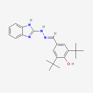 molecular formula C22H28N4O B6044327 3,5-di-tert-butyl-4-hydroxybenzaldehyde 1H-benzimidazol-2-ylhydrazone 