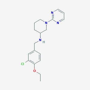 molecular formula C18H23ClN4O B6047933 N-(3-chloro-4-ethoxybenzyl)-1-(2-pyrimidinyl)-3-piperidinamine 