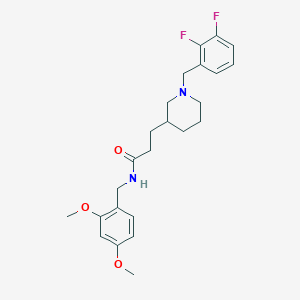 molecular formula C24H30F2N2O3 B6048748 3-[1-(2,3-difluorobenzyl)-3-piperidinyl]-N-(2,4-dimethoxybenzyl)propanamide 