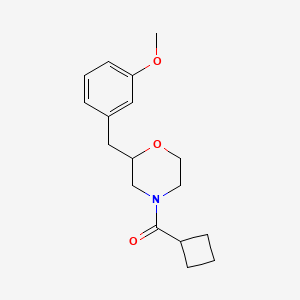 molecular formula C17H23NO3 B6049247 4-(cyclobutylcarbonyl)-2-(3-methoxybenzyl)morpholine 