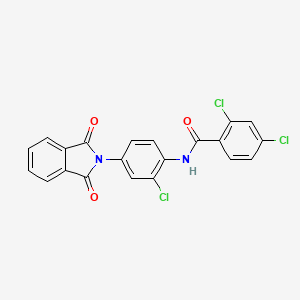2,4-dichloro-N-[2-chloro-4-(1,3-dioxo-1,3-dihydro-2H-isoindol-2-yl)phenyl]benzamide