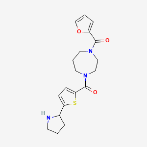 molecular formula C19H23N3O3S B6050512 1-(2-furoyl)-4-{[5-(2-pyrrolidinyl)-2-thienyl]carbonyl}-1,4-diazepane trifluoroacetate 