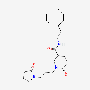 molecular formula C23H39N3O3 B6050780 N-(2-cyclooctylethyl)-6-oxo-1-[3-(2-oxo-1-pyrrolidinyl)propyl]-3-piperidinecarboxamide 