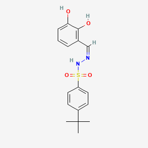 4-tert-butyl-N'-(2,3-dihydroxybenzylidene)benzenesulfonohydrazide
