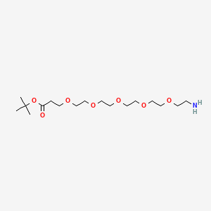 molecular formula C17H35NO7 B605465 氨基-PEG5-叔丁酸酯 CAS No. 1446282-18-3