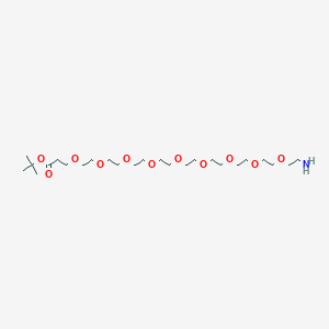 molecular formula C25H51NO11 B605476 氨基-PEG9-叔丁酯 CAS No. 1818294-44-8