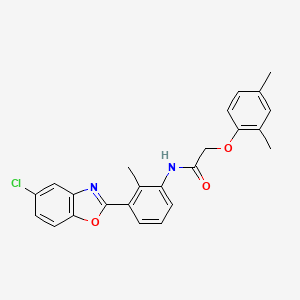 molecular formula C24H21ClN2O3 B6055032 N-[3-(5-chloro-1,3-benzoxazol-2-yl)-2-methylphenyl]-2-(2,4-dimethylphenoxy)acetamide 