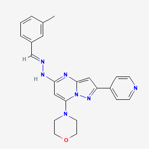 molecular formula C23H23N7O B605551 (E)-4-(5-(2-(3-methylbenzylidene)hydrazinyl)-2-(pyridin-4-yl)pyrazolo[1,5-a]pyrimidin-7-yl)morpholine CAS No. 1232221-74-7