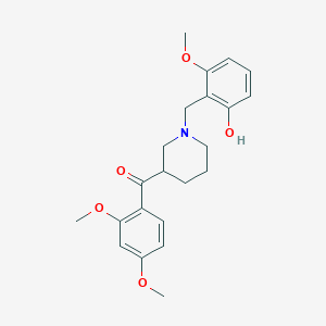 molecular formula C22H27NO5 B6055833 (2,4-dimethoxyphenyl)[1-(2-hydroxy-6-methoxybenzyl)-3-piperidinyl]methanone 