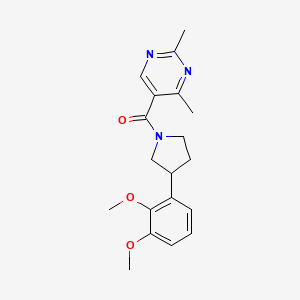 molecular formula C19H23N3O3 B6056265 5-{[3-(2,3-dimethoxyphenyl)-1-pyrrolidinyl]carbonyl}-2,4-dimethylpyrimidine 