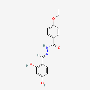 molecular formula C16H16N2O4 B6056830 N'-(2,4-dihydroxybenzylidene)-4-ethoxybenzohydrazide 