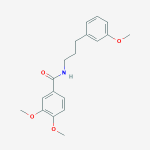 molecular formula C19H23NO4 B6057636 3,4-dimethoxy-N-[3-(3-methoxyphenyl)propyl]benzamide 