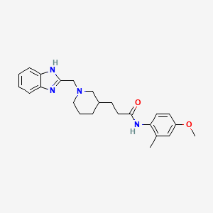 molecular formula C24H30N4O2 B6058658 3-[1-(1H-benzimidazol-2-ylmethyl)-3-piperidinyl]-N-(4-methoxy-2-methylphenyl)propanamide 