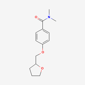 molecular formula C14H19NO3 B6058828 N,N-dimethyl-4-(tetrahydro-2-furanylmethoxy)benzamide 