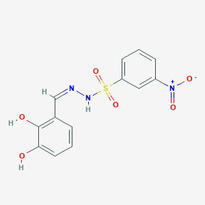 molecular formula C13H11N3O6S B6059007 N'-(2,3-dihydroxybenzylidene)-3-nitrobenzenesulfonohydrazide 
