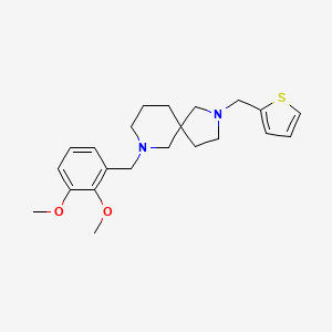 molecular formula C22H30N2O2S B6059037 7-(2,3-dimethoxybenzyl)-2-(2-thienylmethyl)-2,7-diazaspiro[4.5]decane 