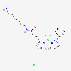 molecular formula C24H30BClF2N4O B605999 BDP R6G amine CAS No. 2183473-06-3