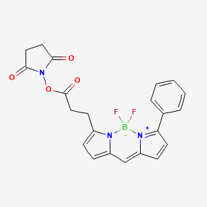 molecular formula C22H18BF2N3O4 B606002 BDP R6G NHS 酯 CAS No. 335193-70-9