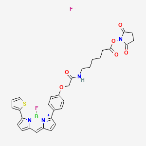 molecular formula C31H29BF2N4O6S B606009 Bdp TR CAS No. 217190-13-1