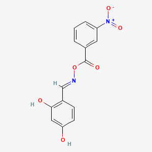 molecular formula C14H10N2O6 B6060828 2,4-dihydroxybenzaldehyde O-(3-nitrobenzoyl)oxime 