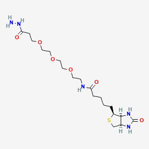 molecular formula C19H35N5O6S B606133 Biotin-PEG3-hidrazida CAS No. 1381861-94-4