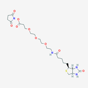 molecular formula C23H36N4O9S B606135 Biotin-PEG3-NHS ester CAS No. 1253286-56-4