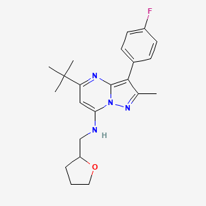 5-tert-butyl-3-(4-fluorophenyl)-2-methyl-N-(tetrahydro-2-furanylmethyl)pyrazolo[1,5-a]pyrimidin-7-amine