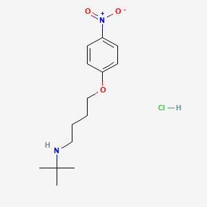 N-tert-butyl-4-(4-nitrophenoxy)butan-1-amine;hydrochloride