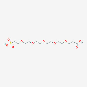molecular formula C13H26O10S B606482 羧基-PEG5-磺酸 CAS No. 1817735-38-8