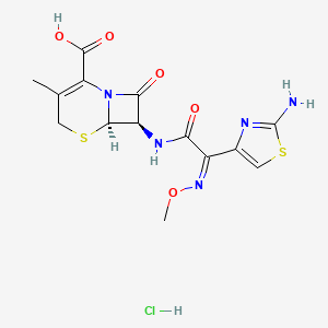 molecular formula C14H16ClN5O5S2 B606584 (6R,7R)-7-((Z)-2-(2-Aminothiazol-4-yl)-2-(methoxyimino)acetamido)-3-methyl-8-oxo-5-thia-1-azabicyclo[4.2.0]oct-2-ene-2-carboxylic acid hydrochloride CAS No. 724438-16-8