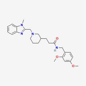 N-(2,4-dimethoxybenzyl)-3-{1-[(1-methyl-1H-benzimidazol-2-yl)methyl]-3-piperidinyl}propanamide