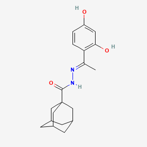 molecular formula C19H24N2O3 B6067270 N'-[1-(2,4-dihydroxyphenyl)ethylidene]-1-adamantanecarbohydrazide 
