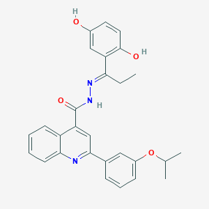 molecular formula C28H27N3O4 B6068202 N'-[1-(2,5-dihydroxyphenyl)propylidene]-2-(3-isopropoxyphenyl)-4-quinolinecarbohydrazide 