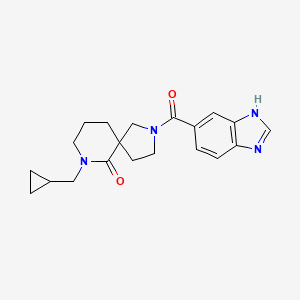 molecular formula C20H24N4O2 B6068823 2-(1H-benzimidazol-5-ylcarbonyl)-7-(cyclopropylmethyl)-2,7-diazaspiro[4.5]decan-6-one 
